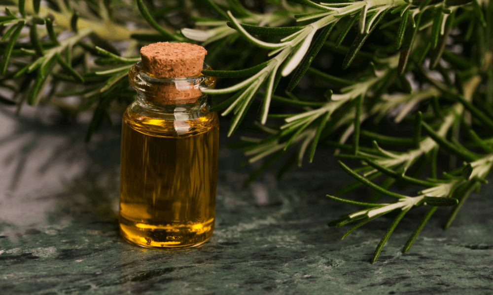 what is rosemary oil